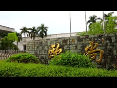 Профиль компании BESTA