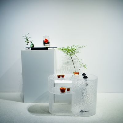 Multi-functional Acrylic Furniture For Indoor Sophisticated And Modern